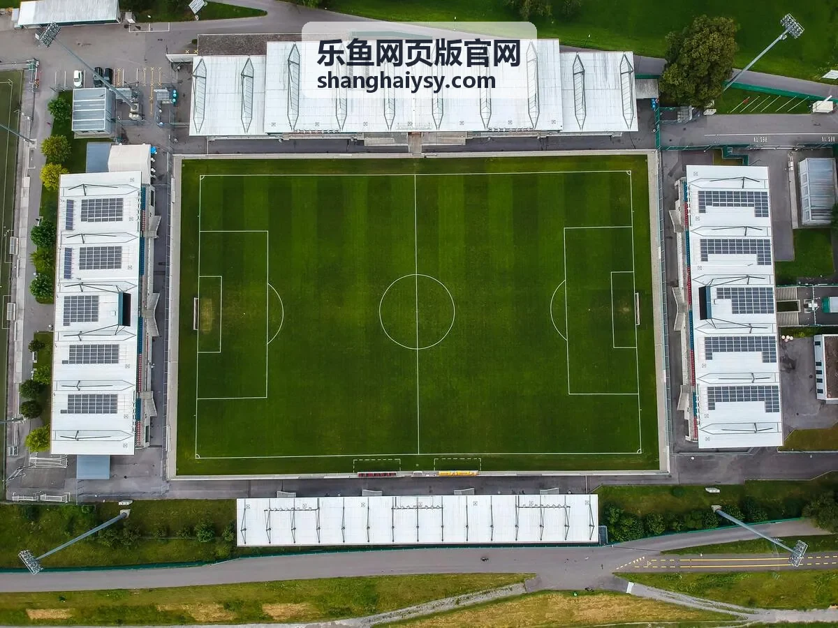 乐鱼网页版官网定期活动与专属福利